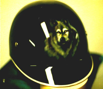 Wolf