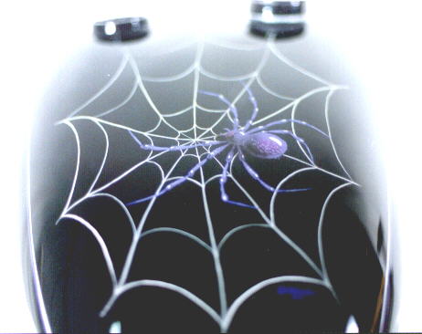 Big spider!