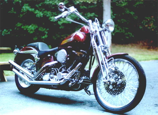 Springer