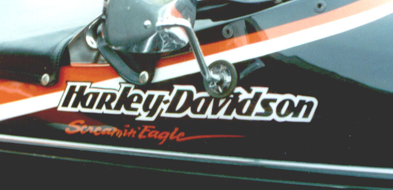 close-up of text
