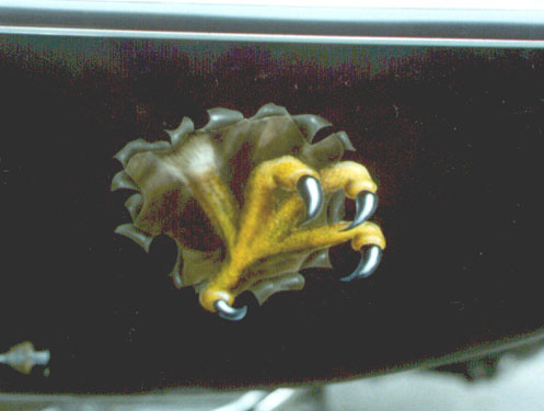 close-up of claw